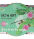 Buzzy Grow Gifts - Mini sada pro pěstování citlivky - Pieterpik - pěstební sada - 1 ks