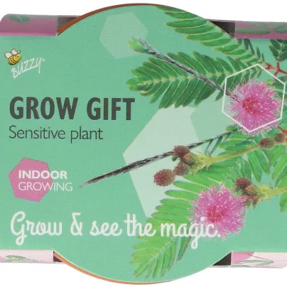 Buzzy Grow Gifts - Mini sada pro pěstování citlivky - Pieterpik - pěstební sada - 1 ks