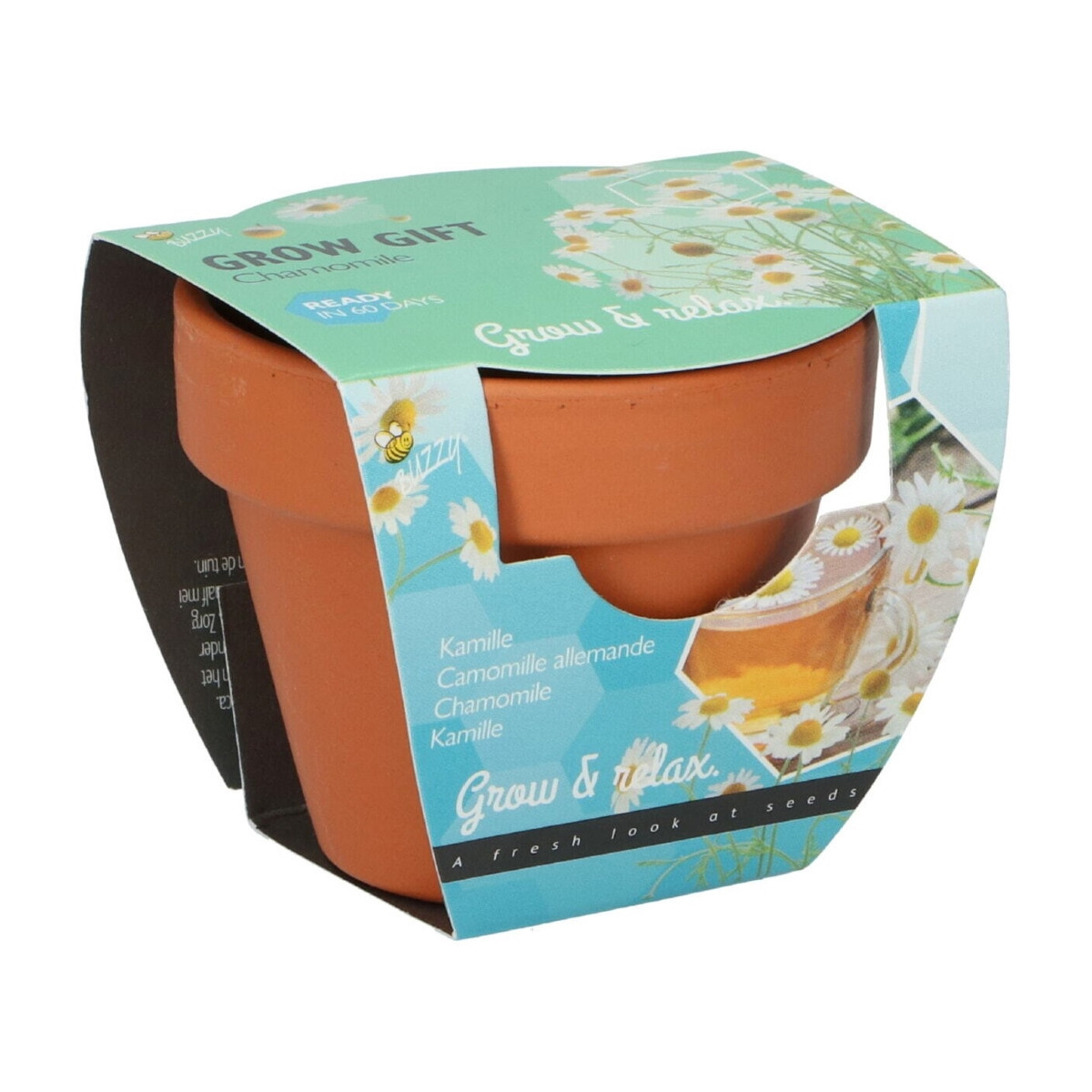 Buzzy Grow Gifts - Mini sada pro pěstování heřmánku - Pieterpik - pěstební sada - 1 ks