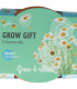 Buzzy Grow Gifts - Mini sada pro pěstování heřmánku - Pieterpik - pěstební sada - 1 ks