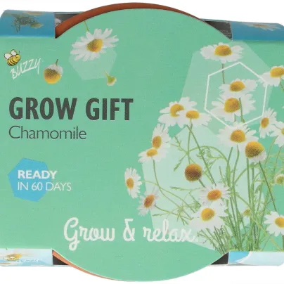 Buzzy Grow Gifts - Mini sada pro pěstování heřmánku - Pieterpik - pěstební sada - 1 ks