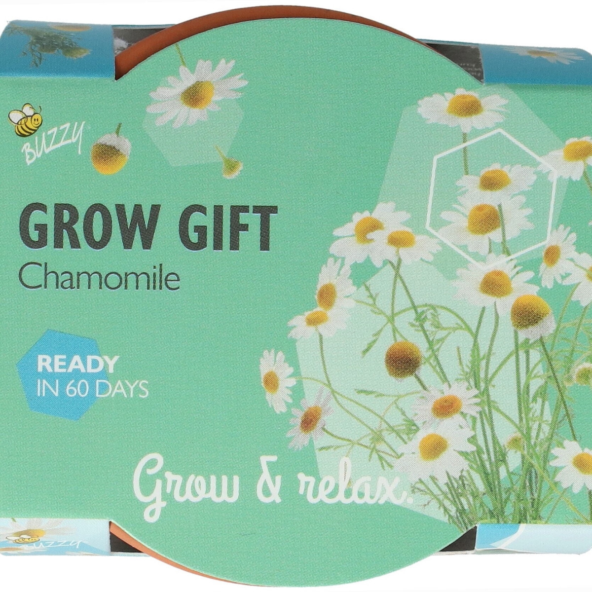 Buzzy Grow Gifts - Mini sada pro pěstování heřmánku - Pieterpik - pěstební sada - 1 ks