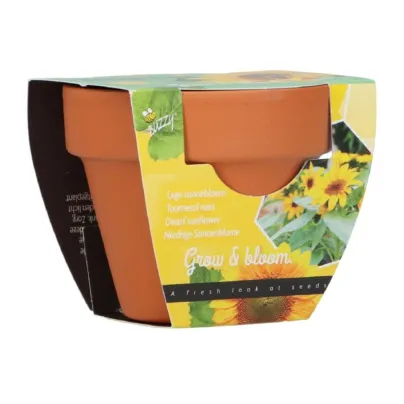 Buzzy Grow Gifts - Mini sada pro pěstování slunečnice - Pieterpik - pěstební sada - 1 ks