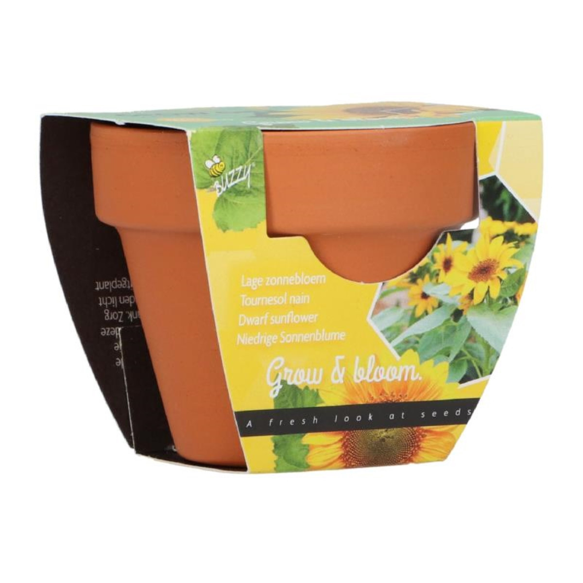Buzzy Grow Gifts - Mini sada pro pěstování slunečnice - Pieterpik - pěstební sada - 1 ks