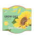 Buzzy Grow Gifts - Mini sada pro pěstování slunečnice - Pieterpik - pěstební sada - 1 ks