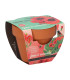 Buzzy Grow Gifts - Mini sada pro pěstování máku - Pieterpik - pěstební sada - 1 ks