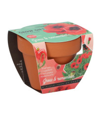 Buzzy Grow Gifts - Mini sada pro pěstování máku - Pieterpik - pěstební sada - 1 ks