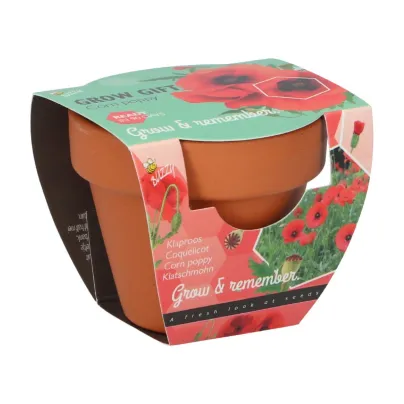 Buzzy Grow Gifts - Mini sada pro pěstování máku - Pieterpik - pěstební sada - 1 ks