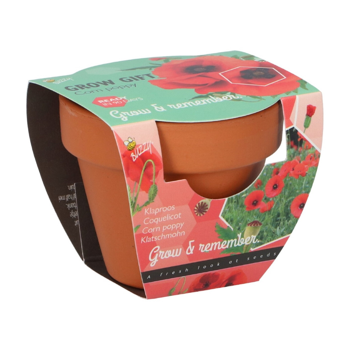 Buzzy Grow Gifts - Mini sada pro pěstování máku - Pieterpik - pěstební sada - 1 ks
