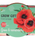 Buzzy Grow Gifts - Mini sada pro pěstování máku - Pieterpik - pěstební sada - 1 ks