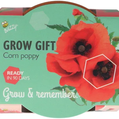Buzzy Grow Gifts - Mini sada pro pěstování máku - Pieterpik - pěstební sada - 1 ks