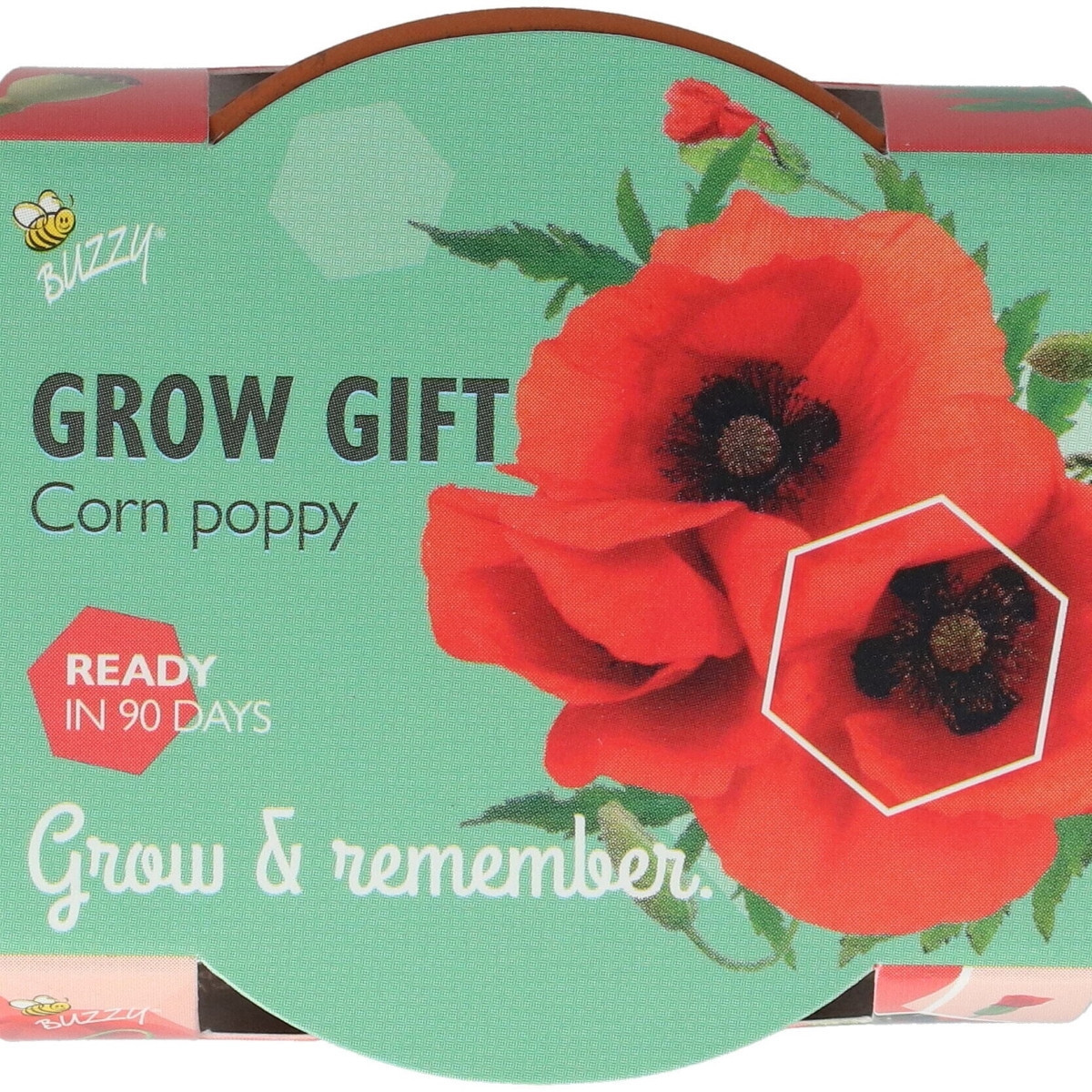 Buzzy Grow Gifts - Mini sada pro pěstování máku - Pieterpik - pěstební sada - 1 ks