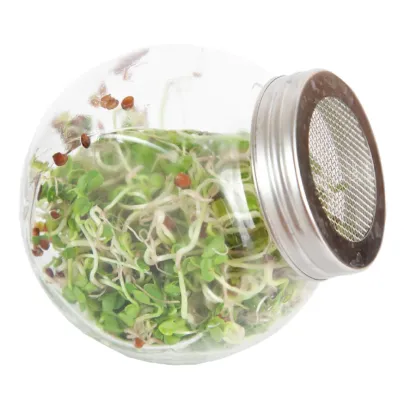 Buzzy - Bio klíčící sklenice Daikon - Pieterpik - 1 ks