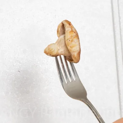 Mini Champ - sada pro domácí pěstování hlívy šedé - Pleurotus ostreatus - sadba - 1 ks