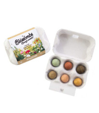 Semínkové bomby - dárkový box na vajíčka - Blossombs - 6 kuliček - 1 balení