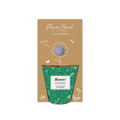 Pěstební set - Grow kit - nízko rostoucí květinová směs - Blossombs - 1 ks