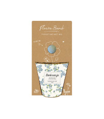 Pěstební set - Grow kit - směs pomněnek - Blossombs - 1 ks