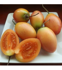 Rajčatový strom žlutý Tamarillo - Cyphomandra betacea - semena - 5 ks