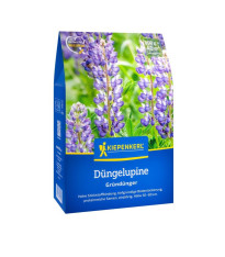 Zelené hnojení - lupina úzkolistá - semena - 800 g