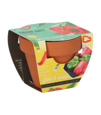 Buzzy Grow Gifts - Mini sada pro pěstování papriky - Pieterpik - 1 ks