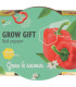 Buzzy Grow Gifts - Mini sada pro pěstování papriky - Pieterpik - 1 ks