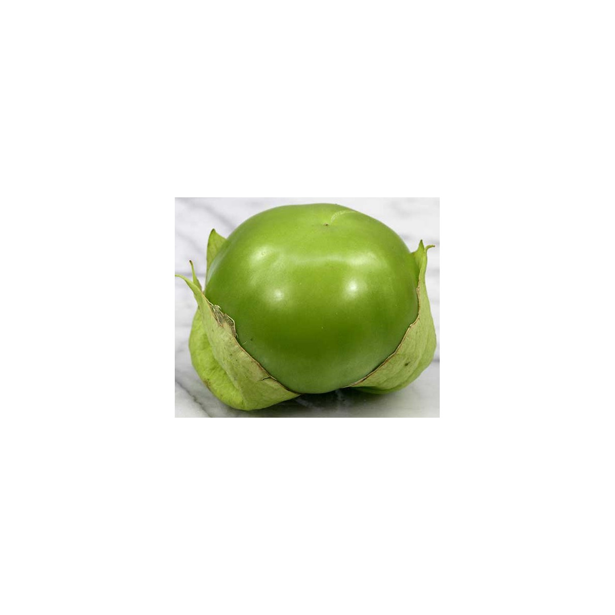 Tomatillo Cisineros - semena - 7 ks