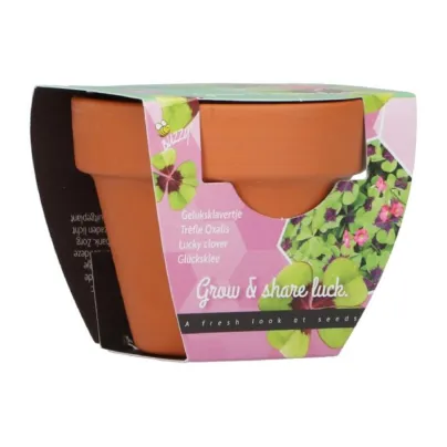Buzzy Grow Gifts – Mini sada pro pěstování čtyřlístku - Pieterpik - pěstební sada - 1 ks