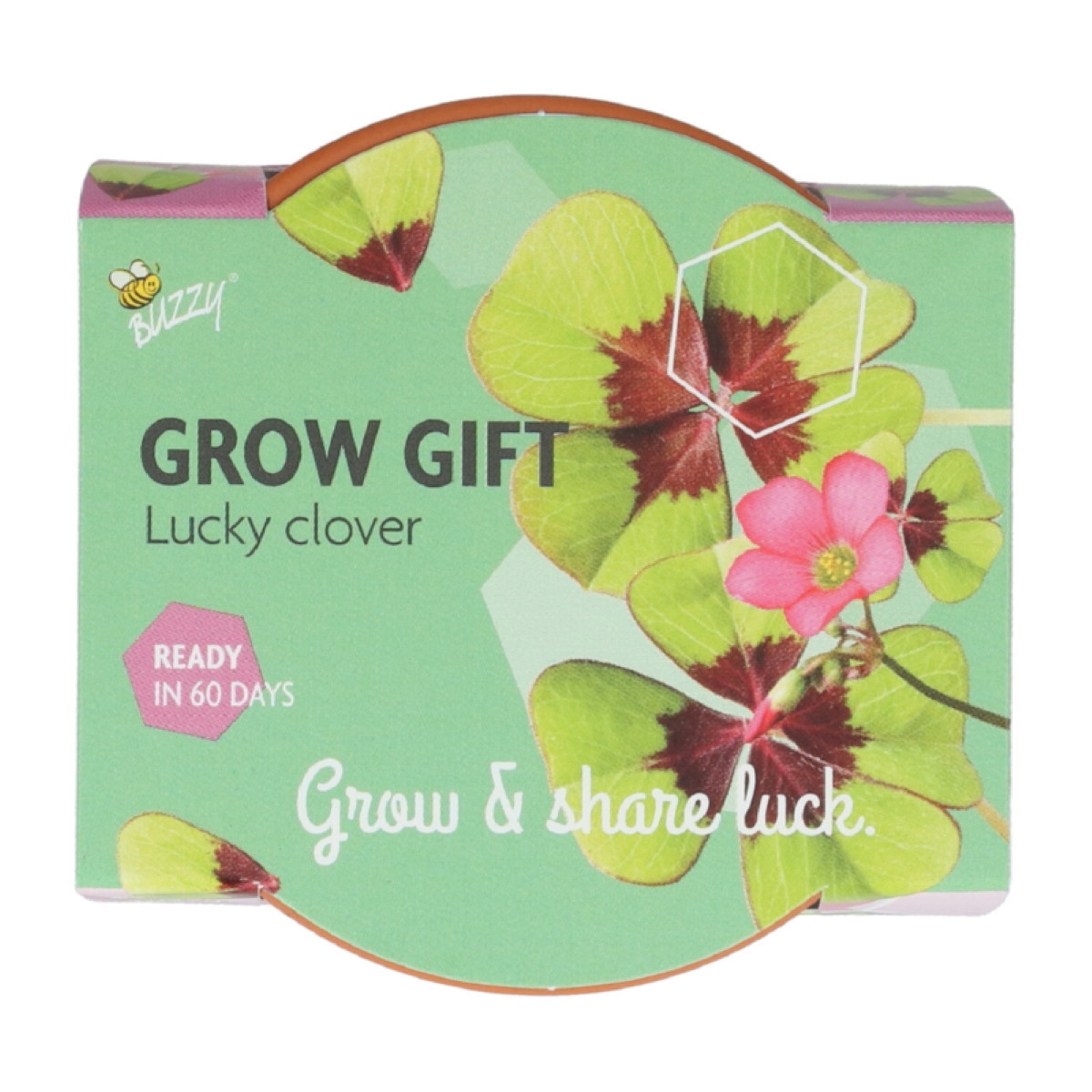 Buzzy Grow Gifts – Mini sada pro pěstování čtyřlístku - Pieterpik - pěstební sada - 1 ks