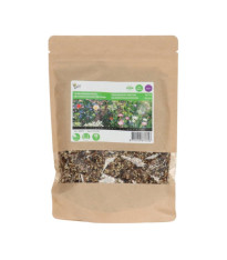 Směs květin pro polní kytice - Field Bouquet - Pieterpik - 250 g