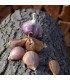 Sadbový česnek Janko - Allium sativum - paličák - 1 balení