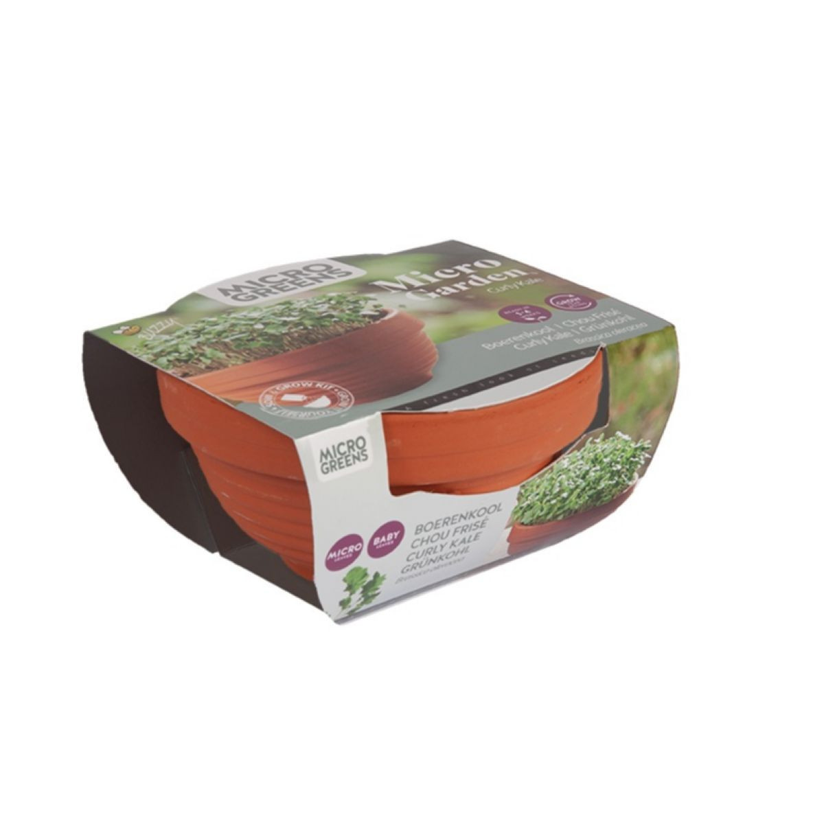 Kadeřávek Microgreens v terakotové misce Buzzy Pieterpik