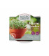 Kadeřávek Microgreens v terakotové misce Buzzy Pieterpik