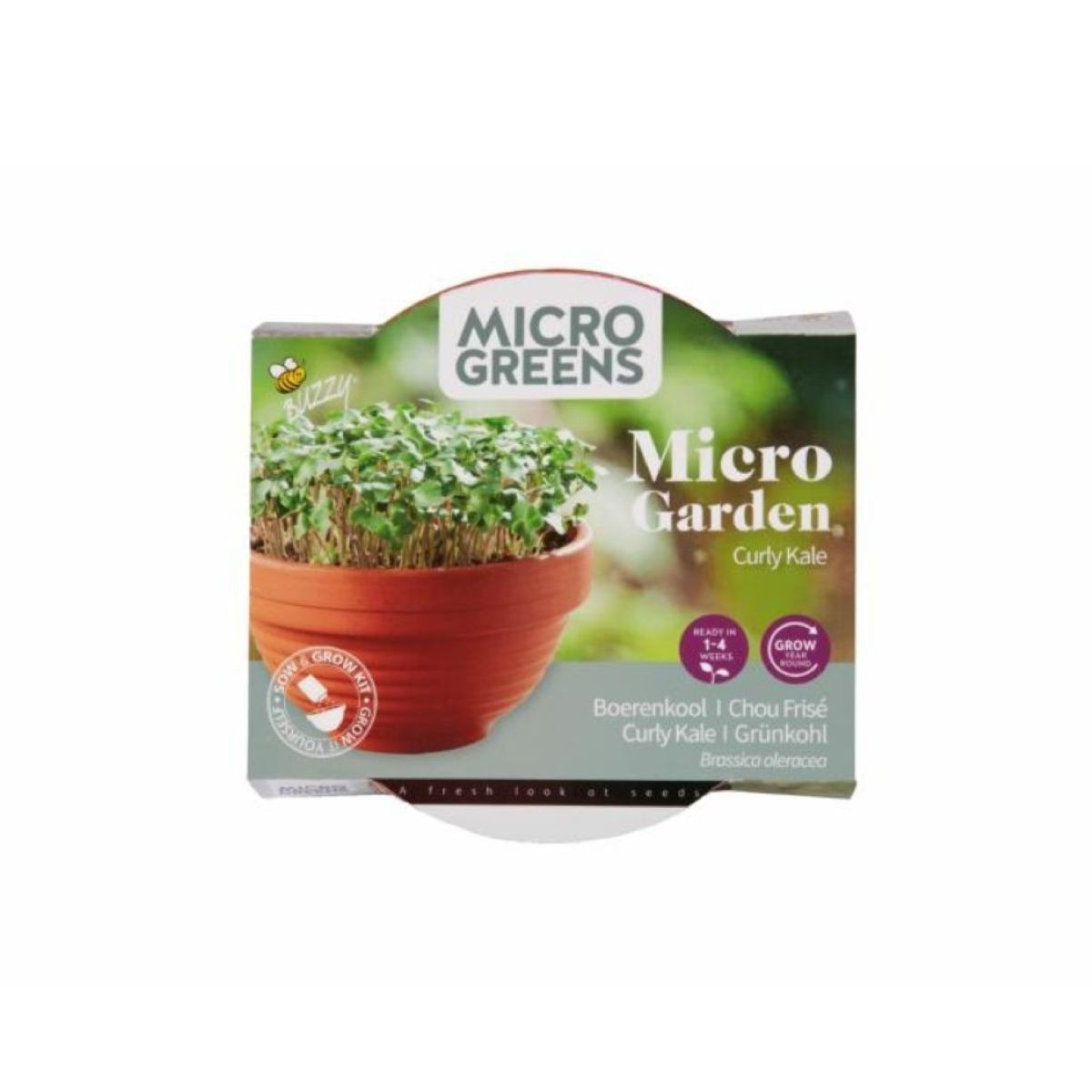 Kadeřávek Microgreens v terakotové misce Buzzy Pieterpik