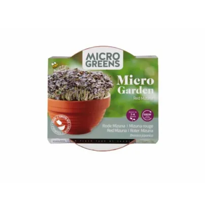Sada Microgreens s červenou mizunou v terakotové misce