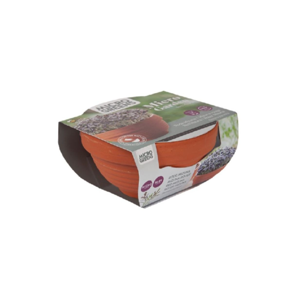 Sada Microgreens s červenou mizunou v terakotové misce
