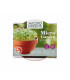 Tatsoi Microgreens v terakotové misce Buzzy Pieterpik