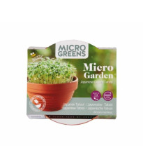 Tatsoi Microgreens v terakotové misce Buzzy Pieterpik