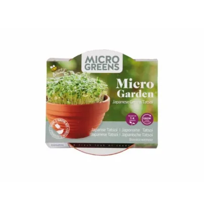Tatsoi Microgreens v terakotové misce Buzzy Pieterpik