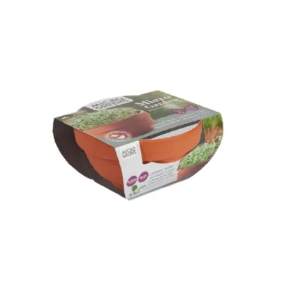 Tatsoi Microgreens v terakotové misce Buzzy Pieterpik