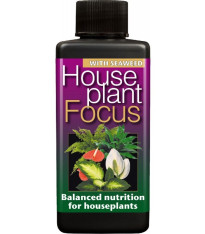 Hnojivo House plant Focus - 300 ml