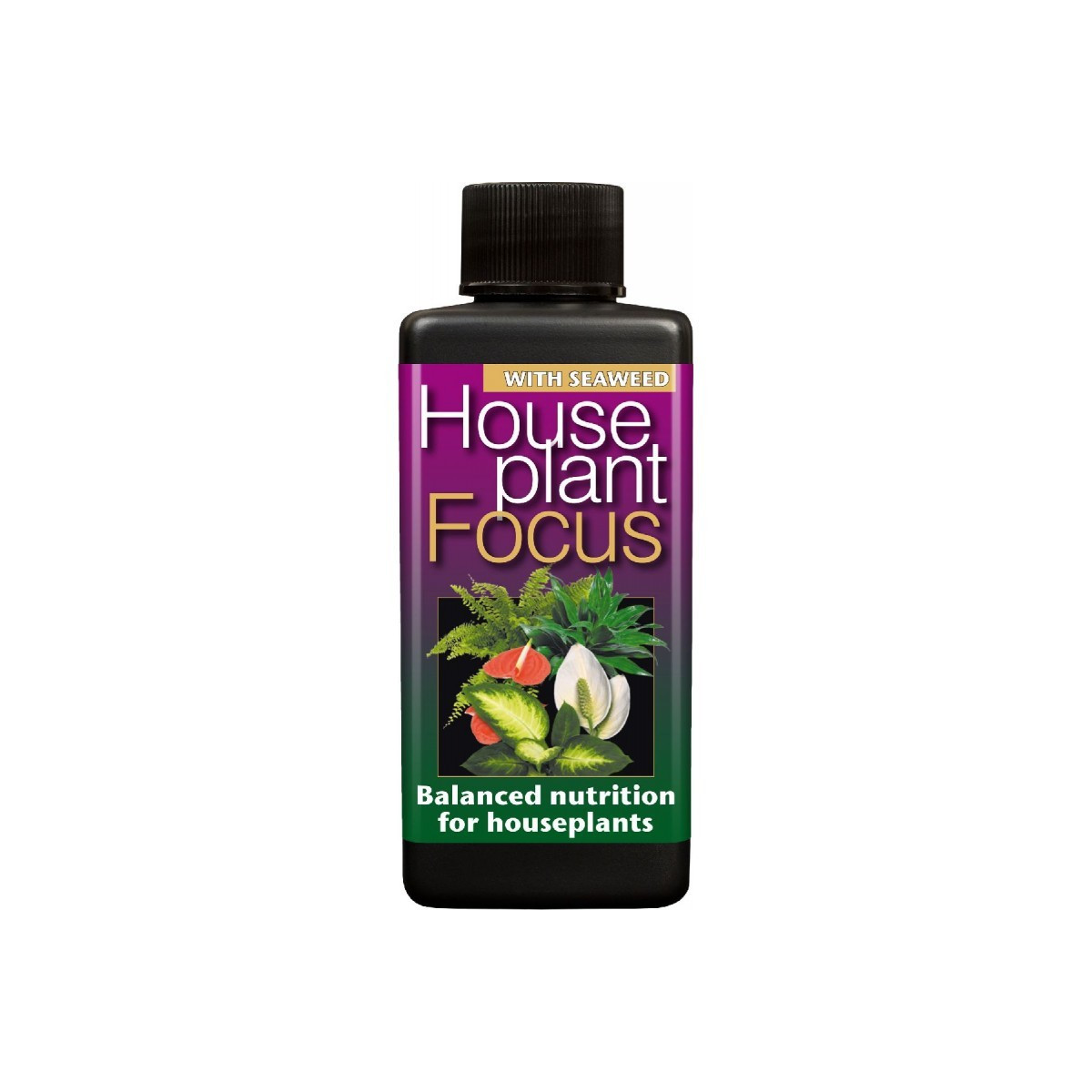 Hnojivo House plant Focus - 300 ml