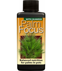 Hnojivo Palm Focus - 100 ml
