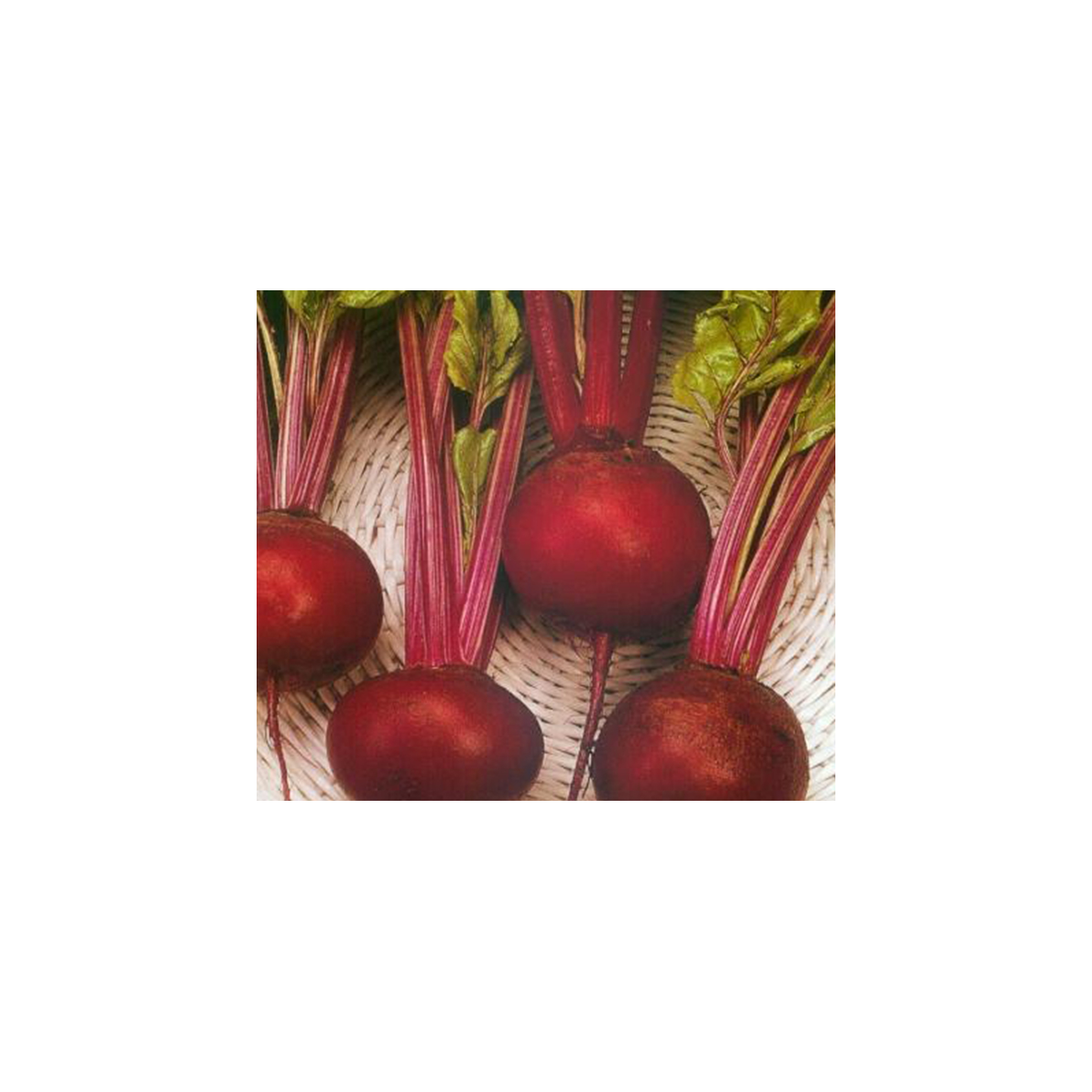 Řepa salátová tmavě červená - Beta Vulgaris L. - semena - 6 g