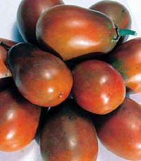 Rajče Černá švestka - Solanum lycopersicum - semena - 6 ks