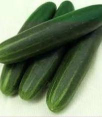 BIO Okurka Palladium F1 - bio semena - 4 ks