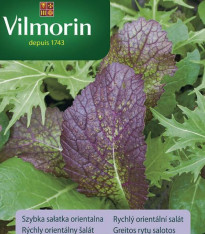 Vilmorin - Rychlý orientální salát - semena - 2 g