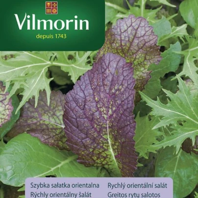 Vilmorin - Rychlý orientální salát - semena - 2 g