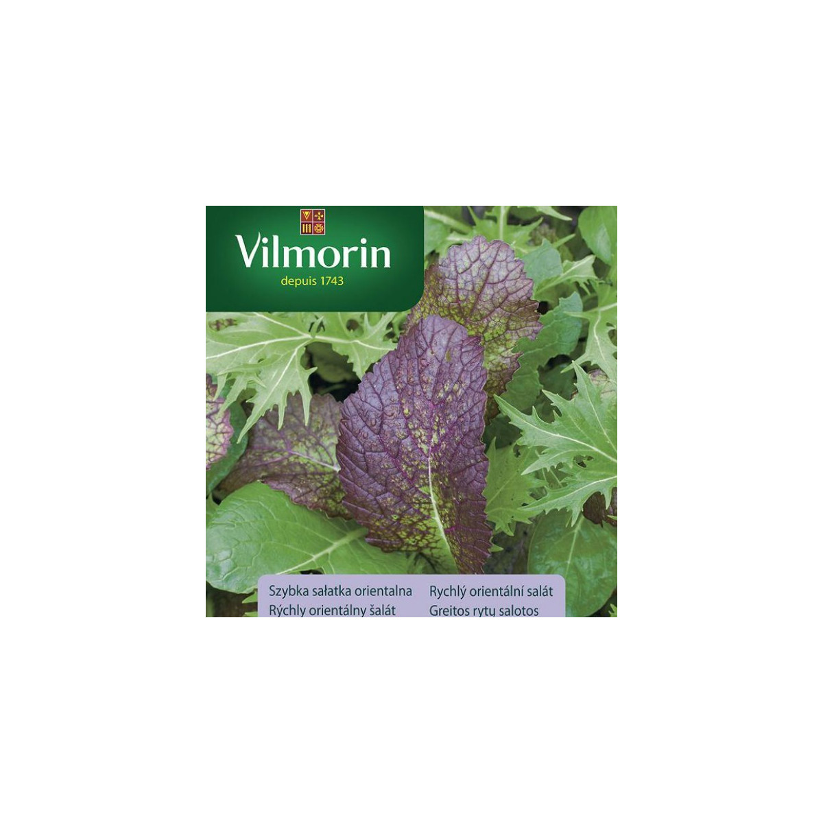 Vilmorin - Rychlý orientální salát - semena - 2 g