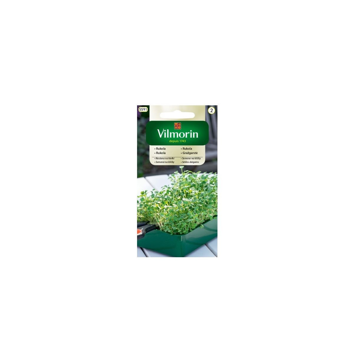 Semena na klíčky - Rukola - 10 g