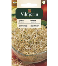 Semena na klíčky - Vojtěška - 20 g